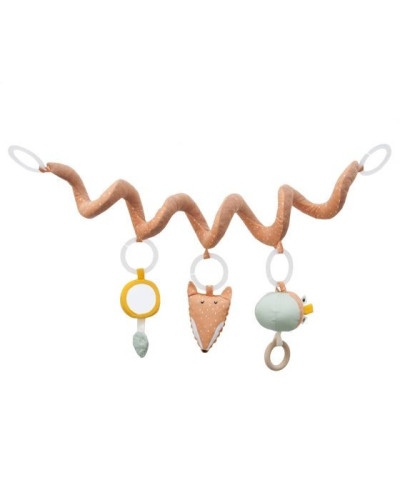 Activity spiral - Mr Fox