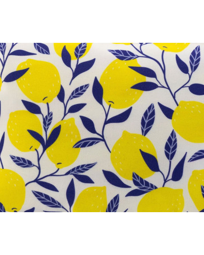 Flat Pouch Lemoni - Small