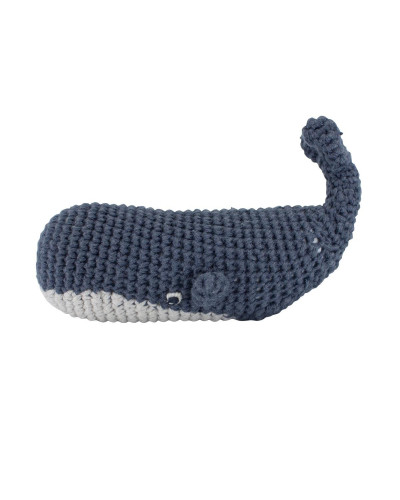 rochet rattle, Marion the whale, ocean dive navy