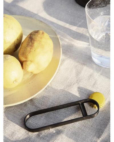 Fein bottle opener - black brass