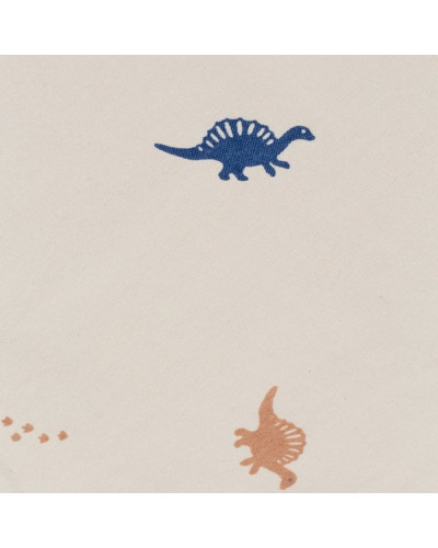 Play and go playmat and storage bag -  Dino