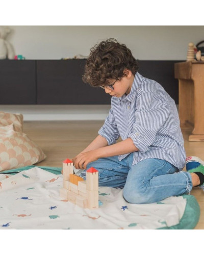 Play and go playmat and storage bag -  Dino