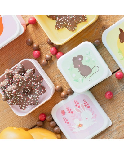Lunch and  Snack Box Set of 4 - forest