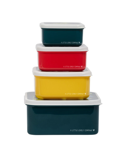 Lunch and  Snack Box Set of 4 - jungle tiger