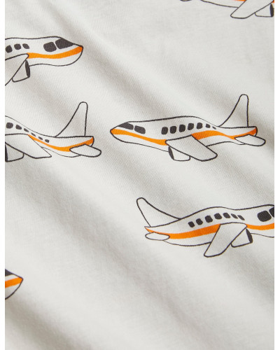 Airplane Body