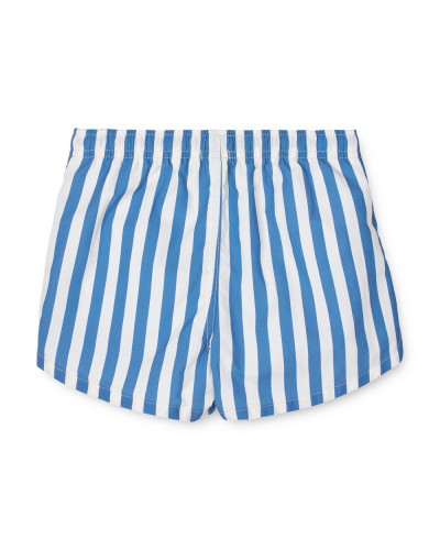 Aiden board shorts- riverside
