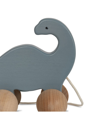 Rolling Dino family