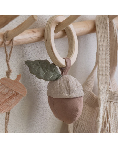 Rattle acorn
