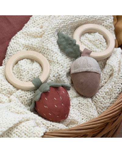Rattle acorn