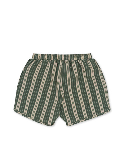Seer Asnou swimshorts - pasture stripe