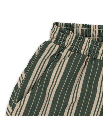 Seer Asnou swimshorts - pasture stripe