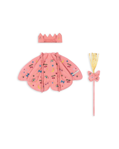Butterfly costume - rainbow twinkle
