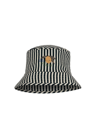 Asnou hat- scarab
