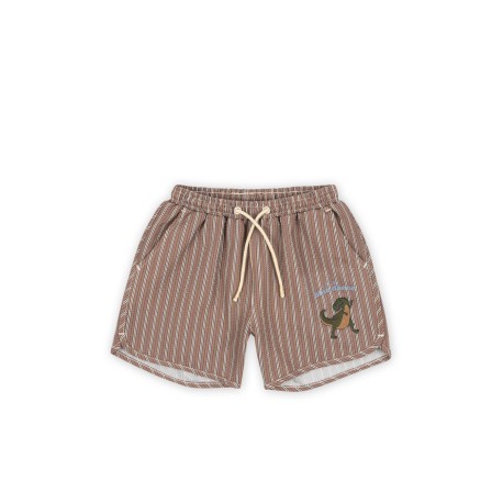 Seer Asnou swimshorts - tigers eye