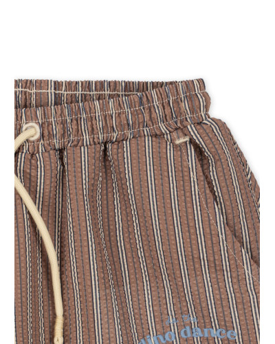 Seer Asnou swimshorts - tigers eye