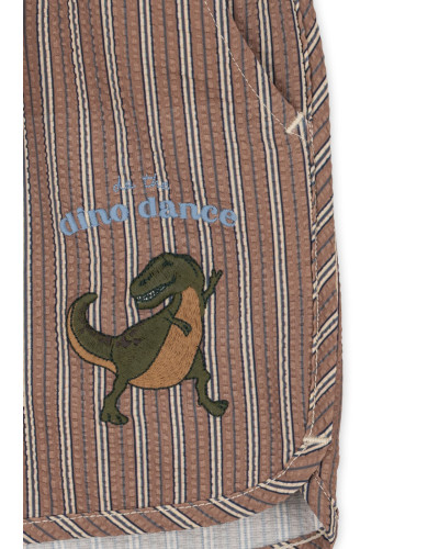 Seer Asnou swimshorts - tigers eye