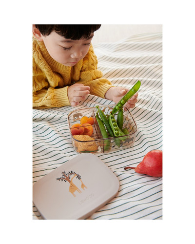 Arthur tritan lunch box - All together