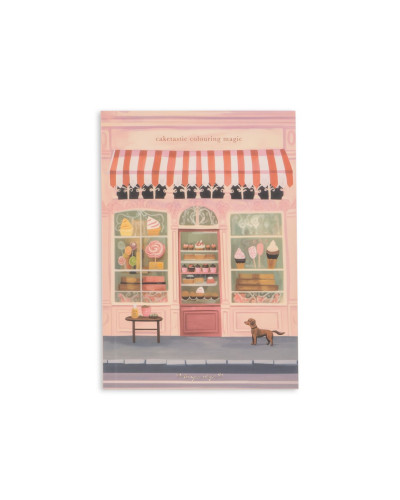 Mini painting books