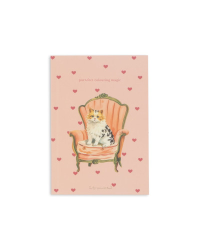 Mini painting books