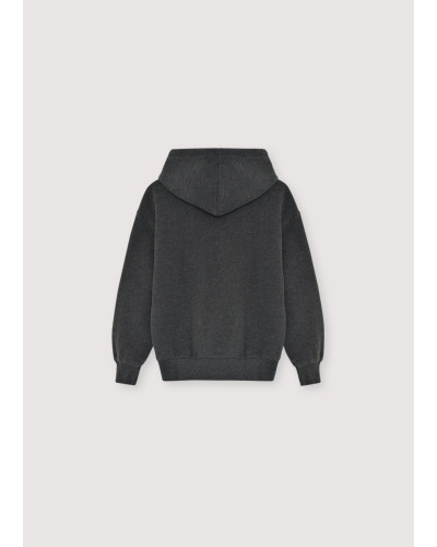 TNS Logo Hood Sweatshirt Galactic Grey Melange