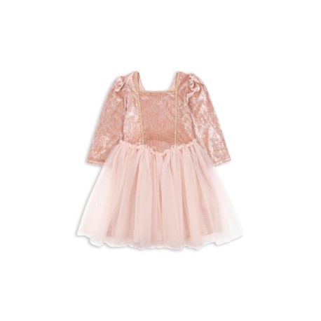 Elisa princess costume