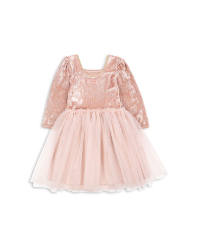 Elisa princess costume