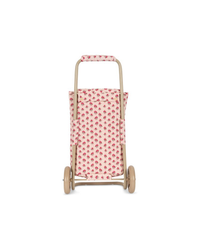 Kids trolley - rosie rose