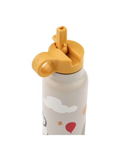 Falk Water Bottle - 350ml - Around the World