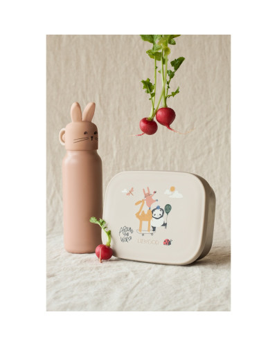 Falk Water Bottle - 350ml -Rabbit lid