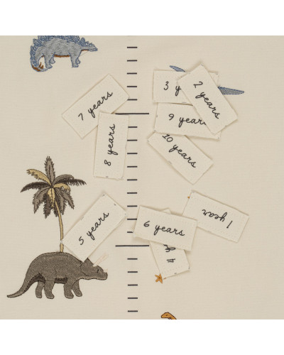 How tall am I now - height chart - Dino