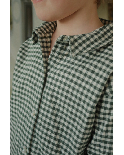Foret shirt - green check